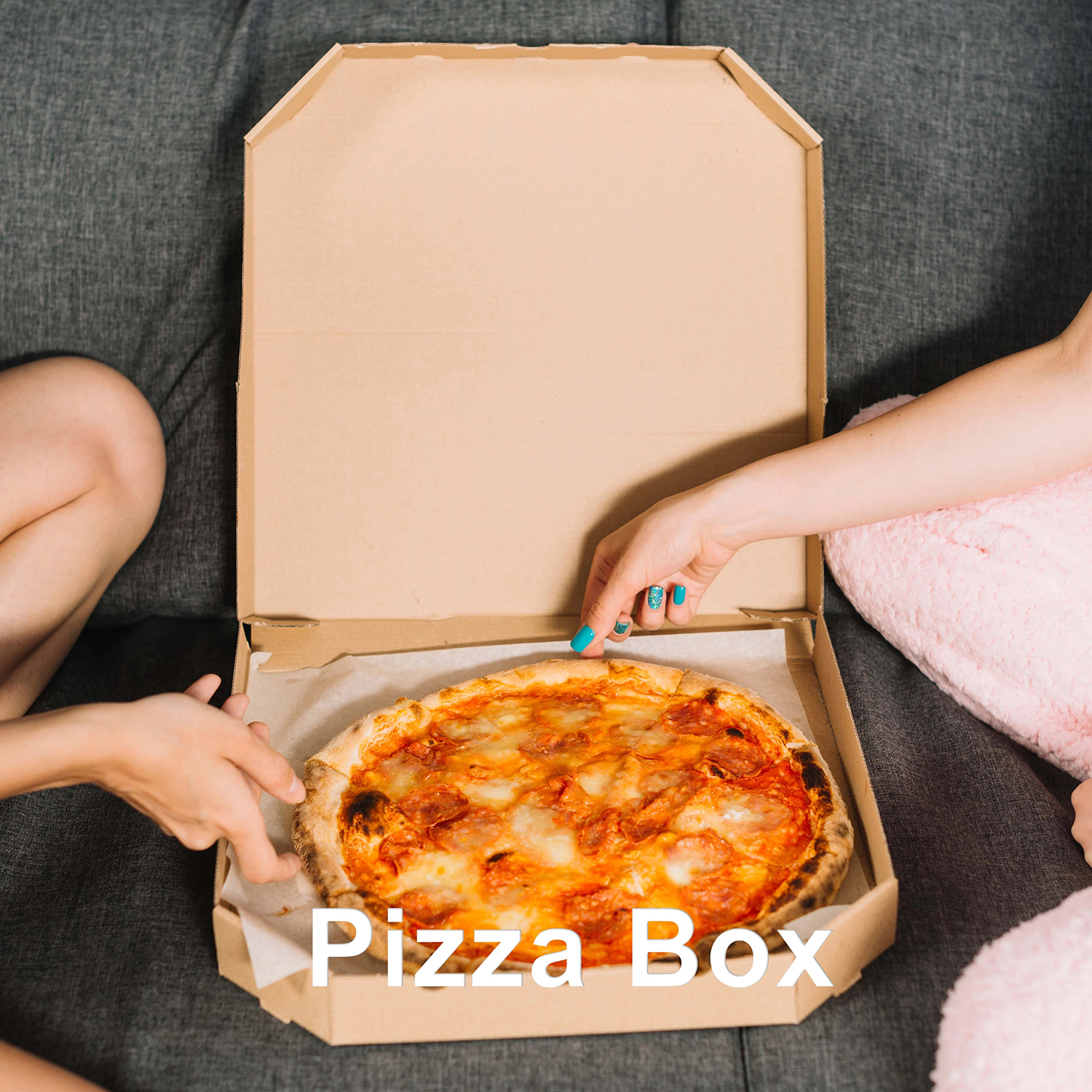 Manufacturers of Pizza Box